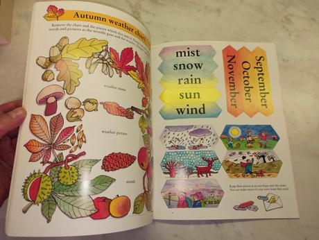 Autumn activity book,