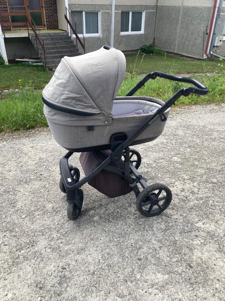 Kočík roan bloom, roan,roan bloom