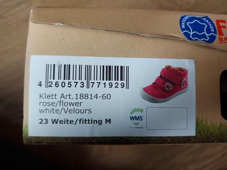 Celoročky filii m, filii,23