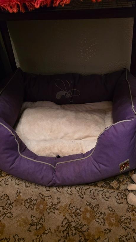 Pelech pre psa 50x40cm,
