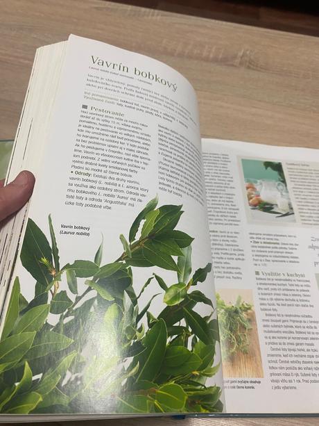 Velká kniha bylinek bylinky, 
