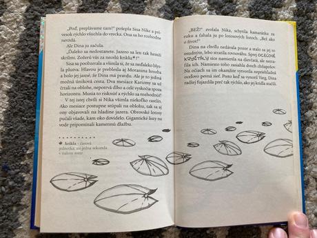 Strieborné jazero-čarohľadačky 2 (2012),