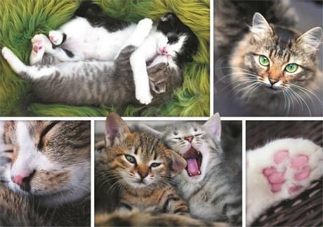 Trefl puzzle santorini, benátky, zámok sully-sur-l, 