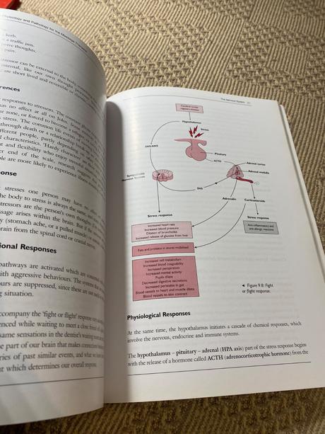 Anatomy physiology and pathology for the massage,
