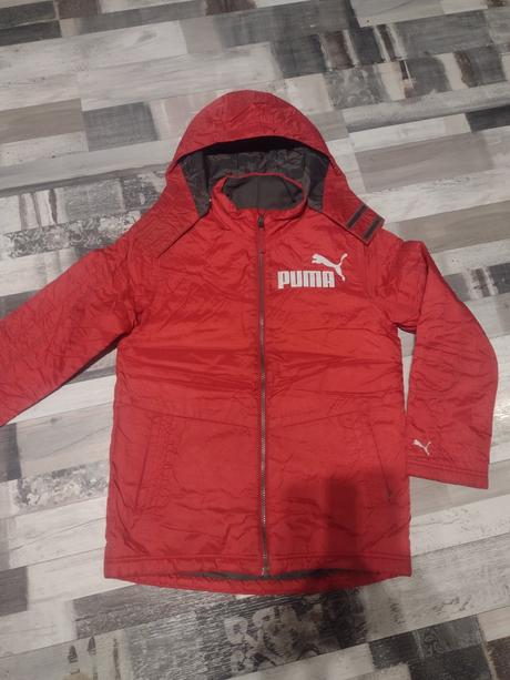 Bunda, puma,152