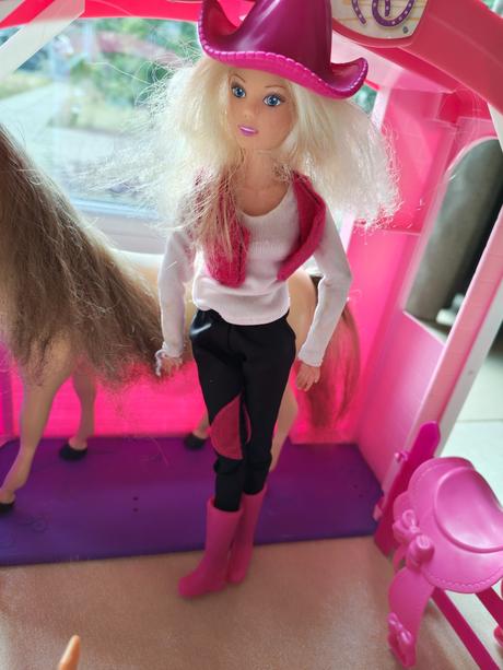 Stajňa, kôn a bábika, 