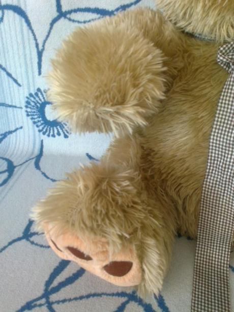 Plyšový medvedík,