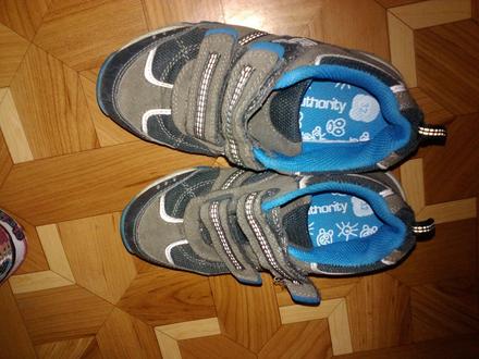 Botasky, authority,33