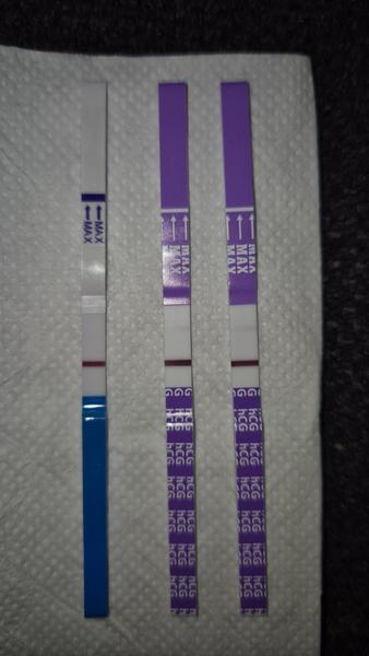 Mám veriť výsledkom od Mamatestu alebo Dr. Maxu?