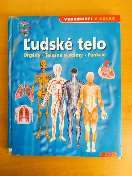 Ľudské telo, 