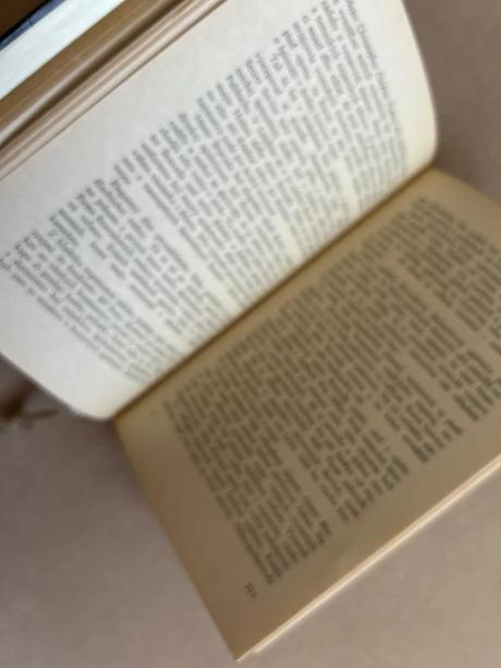 Tajomstvo špionáže i. - václav pavel borovička, 