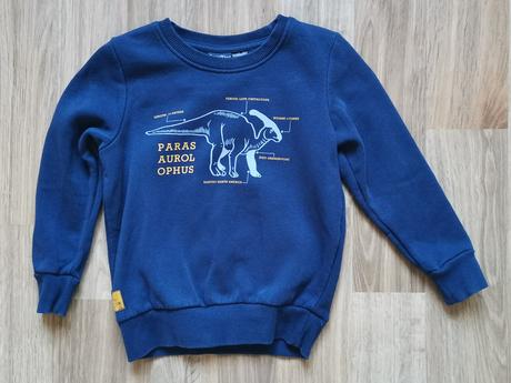 Mikina dinosaurus 98/104, lupilu,98