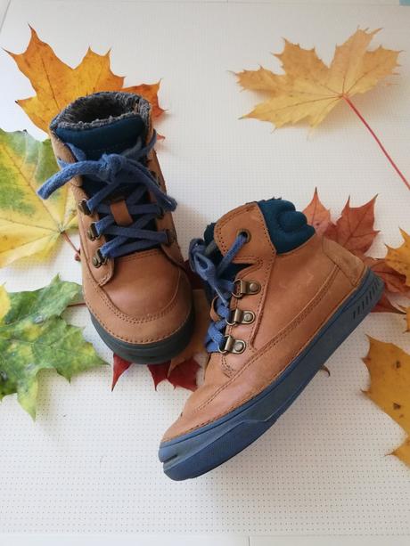 Zimné d. d. step, d.d.step,29