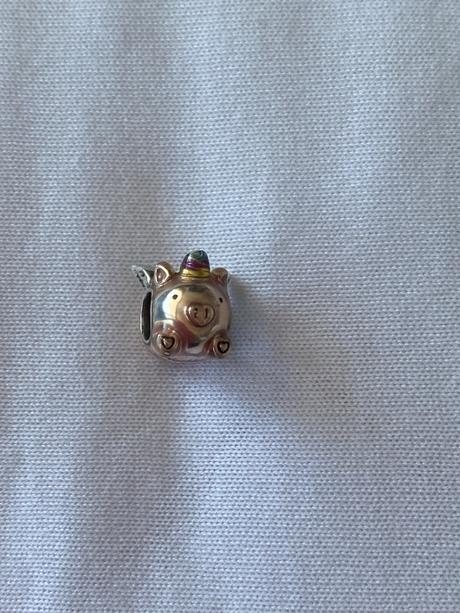 Pandora koralka prasiatko, 