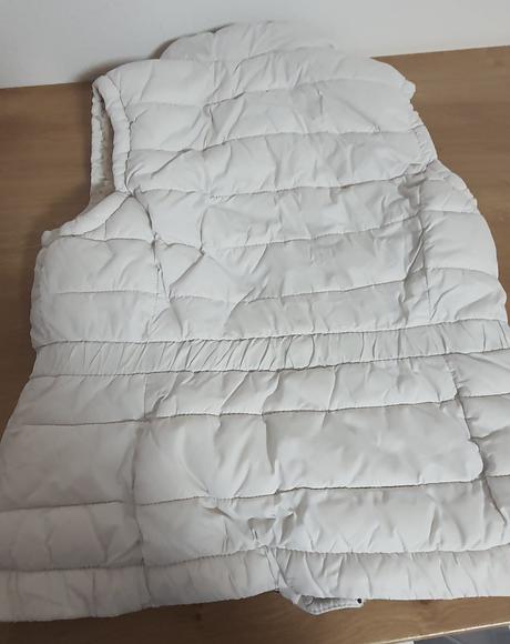 Vesta ovečková, 146