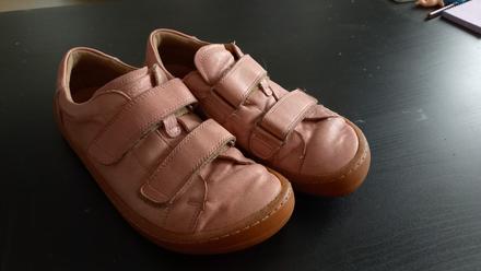 Froddo celorocky, froddo,36