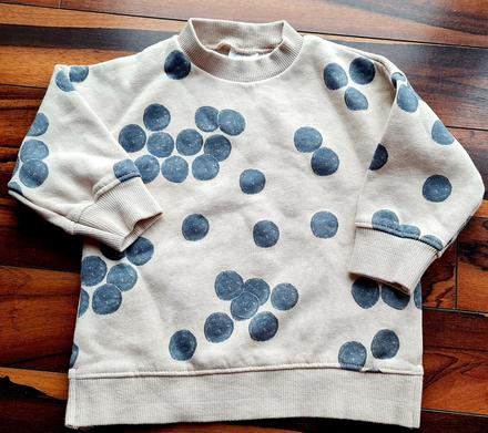 Mikinka čučoriedky zara, zara,74