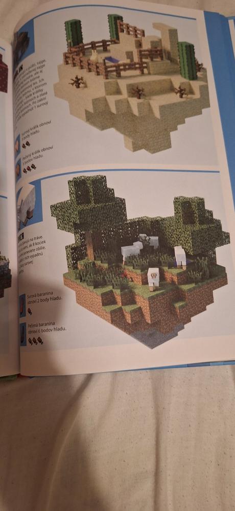 Minecraft začíname hrať, 