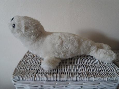 Biely tuleň väčší, 