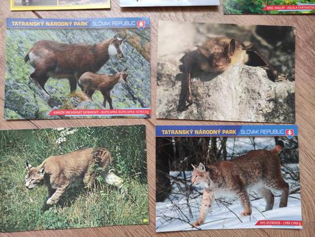 Pohladnice zvieratka,