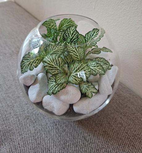 Sklenená dekoračná dóza, 