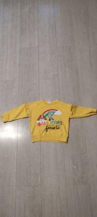 Mikinka paw patrol, f&f,104