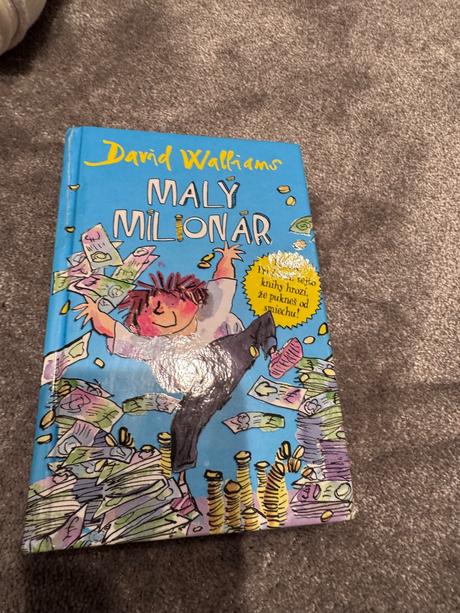 Kniha malý milionár david walliams,