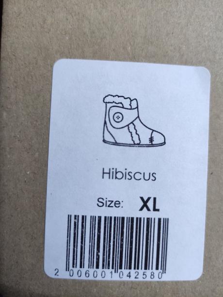 Liliputi hibiscus xl, liliputi