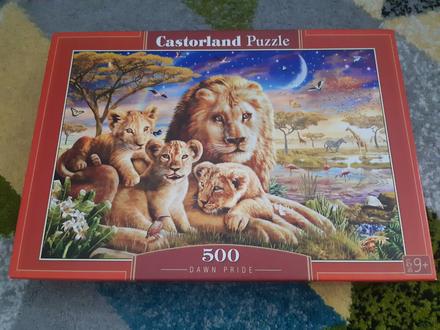 Casrtorland puzzle,