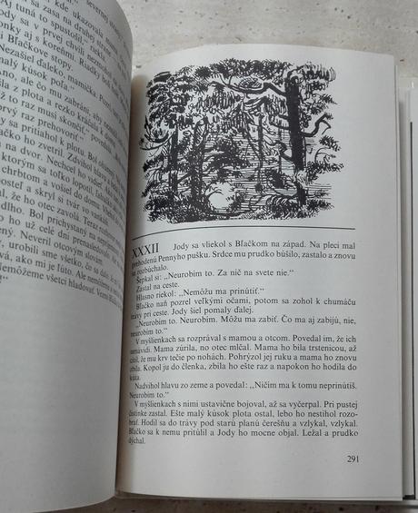 Dieťa divočiny , marjorie kinnan rawlingsová, 1988, 