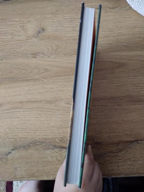 Kniha malý vlk s veľkým srdcom,