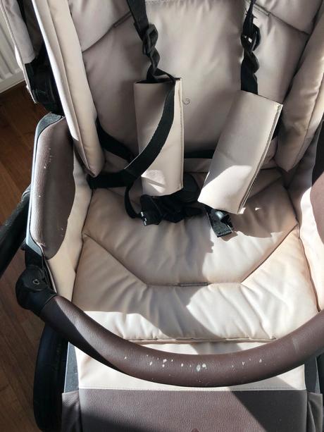 Bebetto luca pro 2023, bebetto,bebetto luca