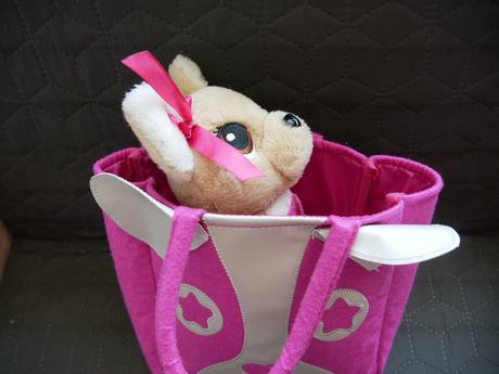 Havko s taštičkou, 