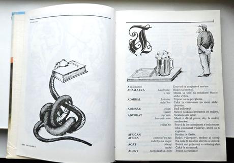 Kniha snár, r. 1990, ela brentová,