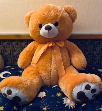 Plyšový medveď veľký 50 x 46 cm, 