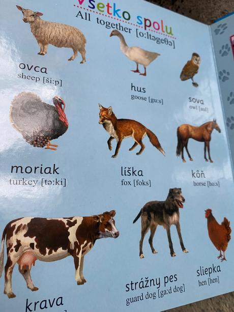 Kniha s puzzle a anglickými slovíčkami, 