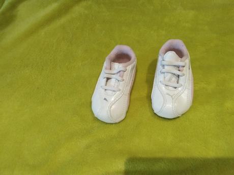 Capacky puma, puma,<17