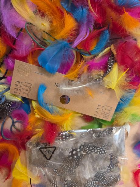 Pestrofarebné pierka na tvorbu, 