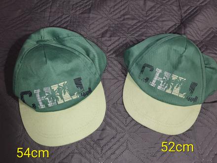 Šiltovka zelena, 104