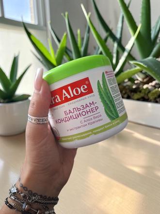 Balzam aloe+lopúch,