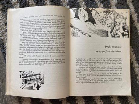 Chlapček husia koža a ryšavé mesto-prvé vyd.1967,