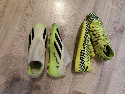 Halovky 34,5, puma,34