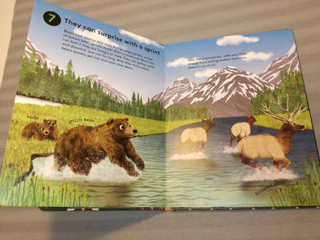 Catherine barr 10 reasons to love a bear nsu22, 