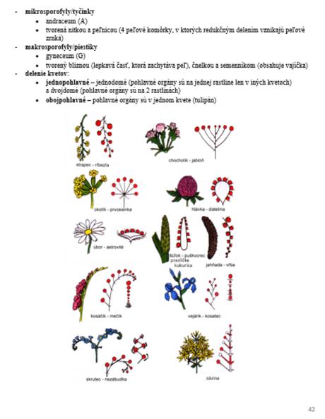 Poznámky na maturitu z biológie/prípravu na vš, 
