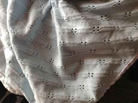 Safari ciapocka , 80