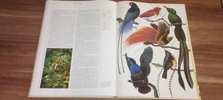 Wildlife of the world, 