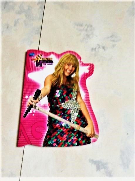 Zápisníky a nálepky hannah montana,