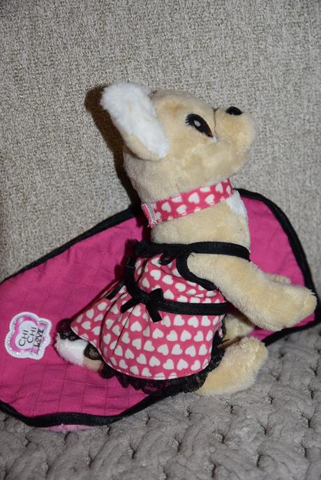 Psík chichi s dečkou,