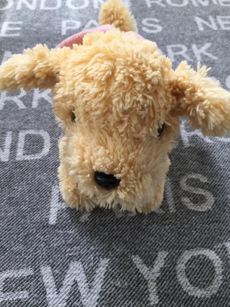 Dievcenska kabelka pes, 