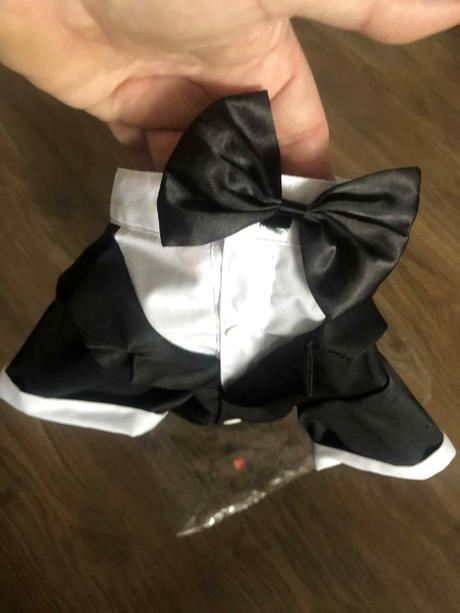 Slavnostne oblecenie pre psa, 